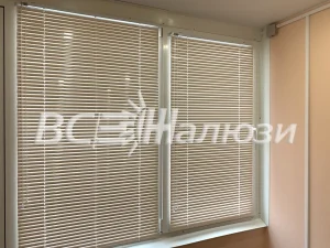Бежевые горизонтальные жалюзи на двустворчатом окне, ламели закрыты