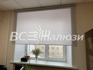 Светло-серая рулонная штора поднята наполовину, на подоконнике цветы