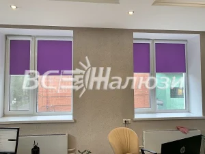 Фиолетовые рулонные шторы наполовину опущены на двух окнах кабинета