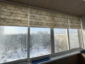 Зебра поднята над балконным окном, морозные стёкла и город