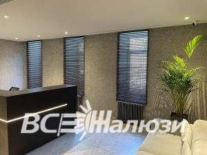 Зона ресепшена с пальмой и тёмными жалюзи на трёх окнах
